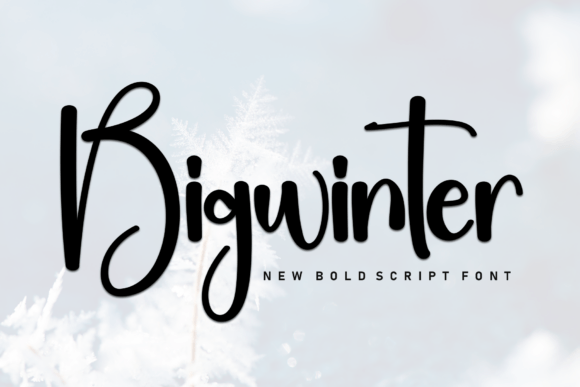 Bigwinter: The Bold Script Font That Injects Energy Into Your Designs